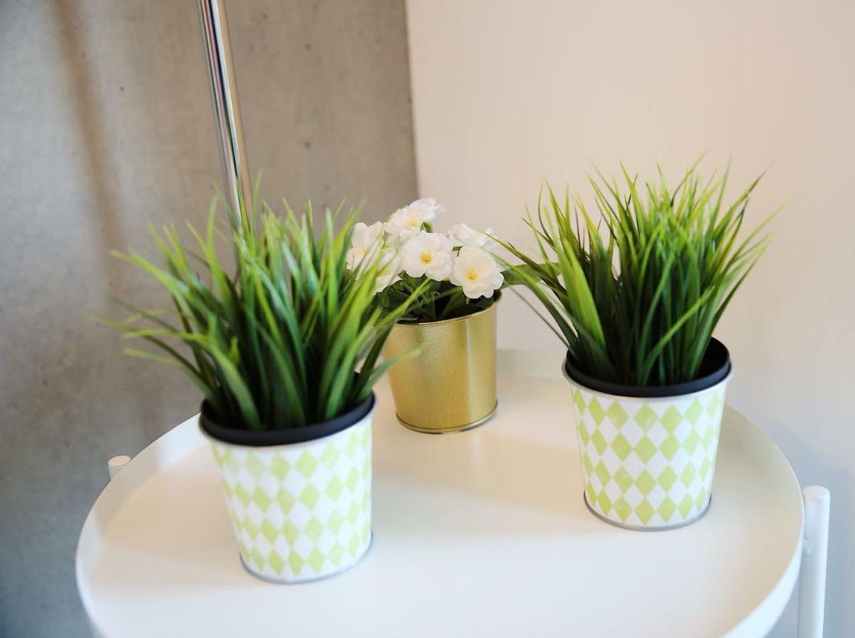 Apartament Family Studio Aveiro Zewnętrze zdjęcie
